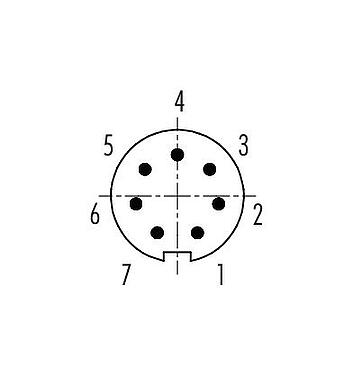 Disposición de los contactos (lado de la conexión) 99 9475 102 07 - Bayoneta Conector de cable macho, Número de contactos: 7, 4,0-5,0 mm, sin blindaje, soldadura, IP40