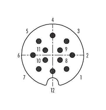Disposición de los contactos (lado de la conexión) 09 0467 00 12 - Bayoneta Conector de cable macho, Número de contactos: 12, 5,0-8,0 mm, blindable, soldadura, IP40