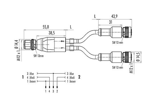 Dibujo a escala 77 9829 3430 50003-0100 - M12 Divisor de cables macho - 2 conector de cable hembra, Número de contactos: 4/3, sin blindaje, moldeado en el cable, IP68, UL 2238, PUR, negro, 3 x 0,34 mm², 1 m
