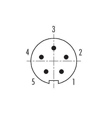 Disposición de los contactos (lado de la conexión) 99 0413 10 05 - M9 Conector de cable macho, Número de contactos: 5, 3,5-5,0 mm, blindable, soldadura, IP67, con puño protector