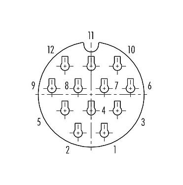 Disposición de los contactos (lado de la conexión) 99 6518 100 12 - Bayoneta Conector de cable hembra, Número de contactos: 12, 7,0-13,0 mm, sin blindaje, crimpado (los contactos de crimpado deben pedirse por separado), IP68/IP69K, UL 2238, VDE