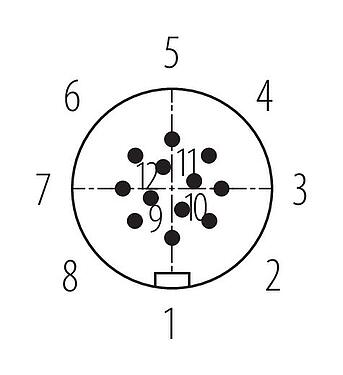 Disposición de los contactos (lado de la conexión) 99 9133 402 12 - Snap-In Conector de cable macho, Número de contactos: 12, 6,0-8,0 mm, sin blindaje, soldadura, IP67