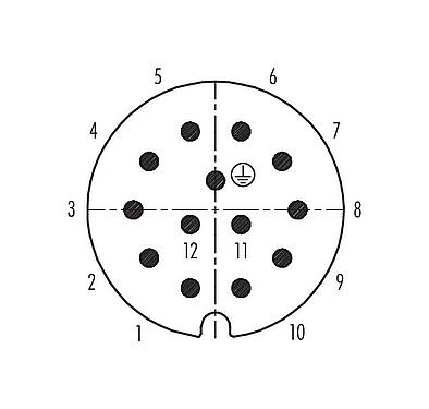 Disposición de los contactos (lado de la conexión) 99 0717 02 13 - RD30 Conector de cable macho, Número de contactos: 12+PE, 12,0-14,0 mm, sin blindaje, soldadura, IP65