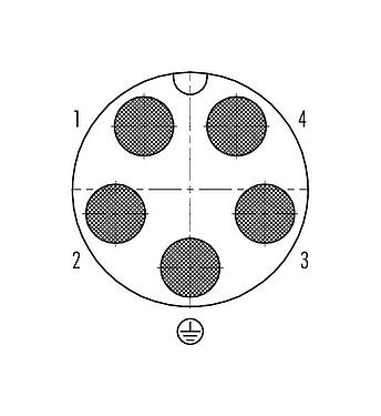 Disposición de los contactos (lado de la conexión) 99 6489 000 05 - Bayoneta Conector de cable macho, Número de contactos: 4+PE, 7,0-17,0 mm, sin blindaje, crimpado (los contactos de crimpado deben pedirse por separado), IP68/IP69K, UL 2238, VDE