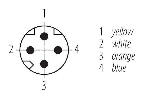 Disposición de los contactos (lado de la conexión) 77 5429 0000 50704-0500 - M8 Conector de cable macho, Número de contactos: 4, blindado, moldeado en el cable, IP67, Profinet/Ethernet CAT5e, PUR, verde, 4 x AWG 22, 5 m