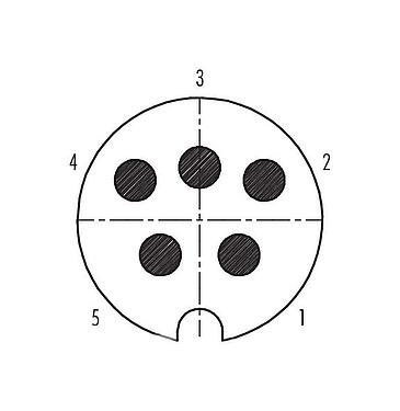 Disposición de los contactos (lado de la conexión) 09 0059 00 05 - Bayoneta Conector de cable macho, Número de contactos: 5, 5,0-8,0 mm, blindable, soldadura, IP40