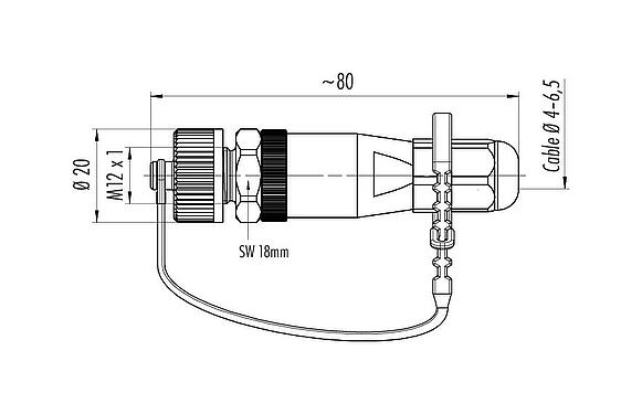 Dibujo a escala 99 0437 684 05 - M12 Conector de cable macho, Número de contactos: 5, 4,0-6,5 mm, sin blindaje, tornillo extraíble, IP69K, para aplicaciones exteriores